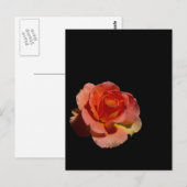 Carte Postale Rose orange 2 (Devant / Derrière)