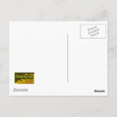 Carte Postale Rose orange 2 (Dos)