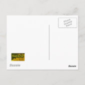 Carte Postale Rose Orange 3 (Dos)