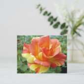 Carte Postale Rose orange et jaune 1 (Debout devant)