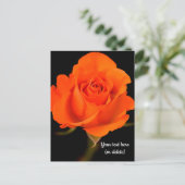 Carte postale rose orange simple (Debout devant)