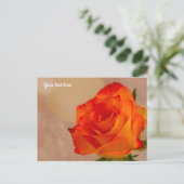 Carte postale rose orange simple (Debout devant)