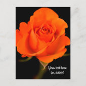 Carte postale rose orange unique (Devant)