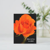 Carte postale rose orange unique (Debout devant)