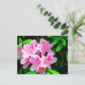 Carte Postale Rose pâle (Debout devant)