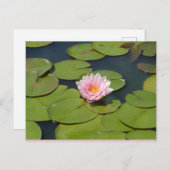 Carte postale rose pâle et jaune (Devant / Derrière)