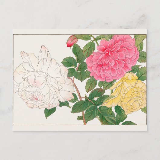 Carte Postale Rose par Tanigami Konan (Devant)