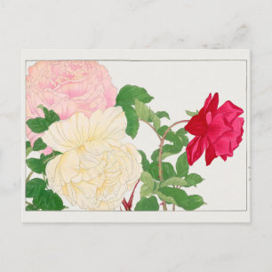 Carte Postale Rose par Tanigami Konan