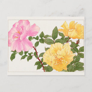 Carte Postale Rose par Tanigami Konan
