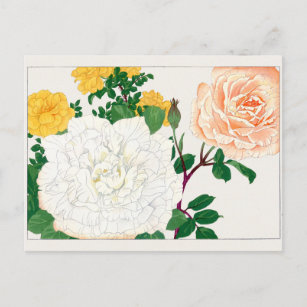 Carte Postale Rose par Tanigami Konan