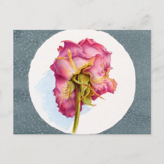 CARTE POSTALE ROSE PARCHÉ (Devant)