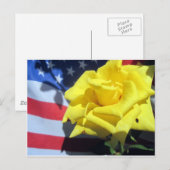 Carte Postale Rose patriotique (Devant / Derrière)