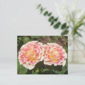 Carte postale Rose Peach (Debout devant)