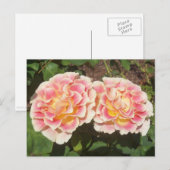 Carte postale Rose Peach (Devant / Derrière)