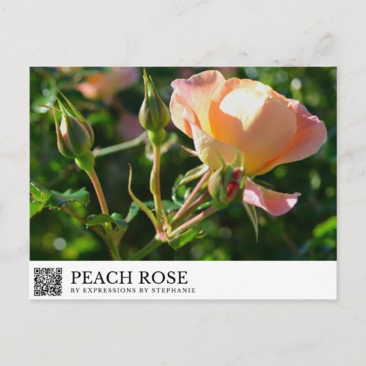 Carte Postale Rose Pêche (Devant)