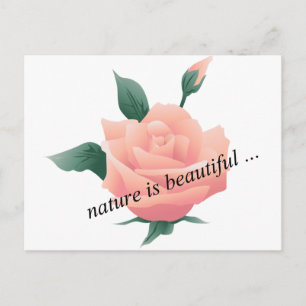 Carte Postale Rose (Pêche) - Belle nature