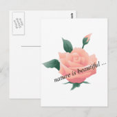 Carte Postale Rose (Pêche) - Belle nature (Devant / Derrière)