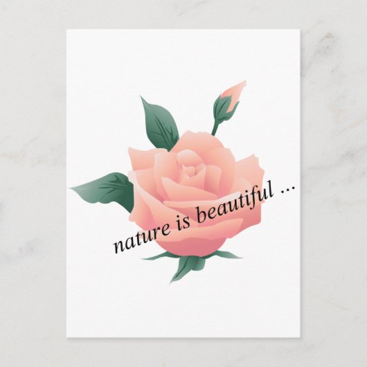Carte Postale Rose (Pêche) - Belle nature (Devant)