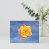 Carte Postale Rose pêche sur ciel bleu (Debout devant)
