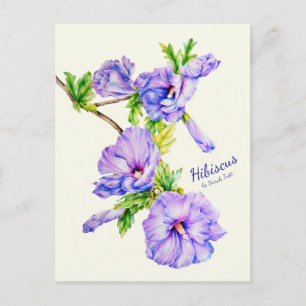 Carte postale rose peinte Hibiscus syriacus