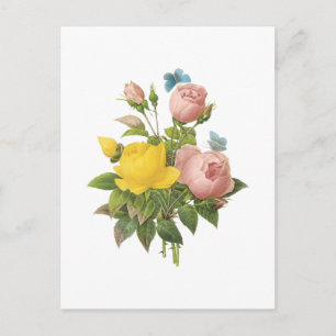 Carte Postale Rose perse, rose à thé de Redouté