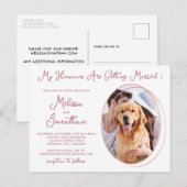 Carte Postale Rose photo pour animaux de compagnie budget Faire- (Devant / Derrière)