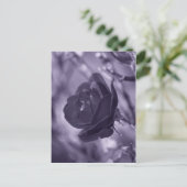 Carte Postale Rose Pourpre (Debout devant)