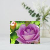 Carte Postale Rose pourpre_ (Debout devant)