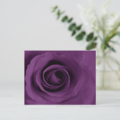 Carte Postale Rose pourpre d'Artsy (Debout devant)