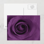 Carte Postale Rose pourpre d'Artsy (Devant / Derrière)