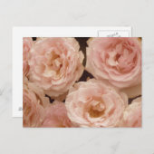 Carte postale Rose précieuse (Devant / Derrière)