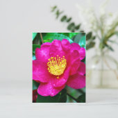 Carte Postale rose printanier (Debout devant)