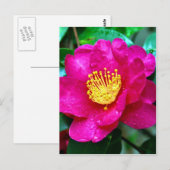 Carte Postale rose printanier (Devant / Derrière)