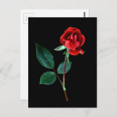 Carte Postale Rose Red Knockout (Devant / Derrière)