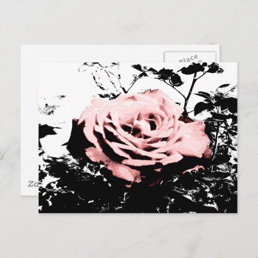 Carte Postale Rose rétro (Devant / Derrière)