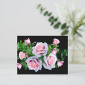 Carte Postale Rose rose (Debout devant)