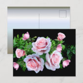 Carte Postale Rose rose (Devant / Derrière)