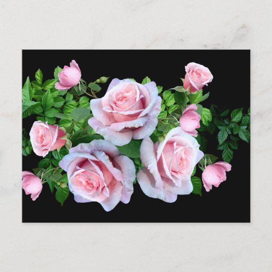 Carte Postale Rose rose (Devant)