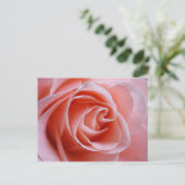 Carte Postale Rose rose (Debout devant)