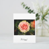 Carte Postale Rose rose (Debout devant)