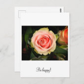 Carte Postale Rose rose (Devant / Derrière)