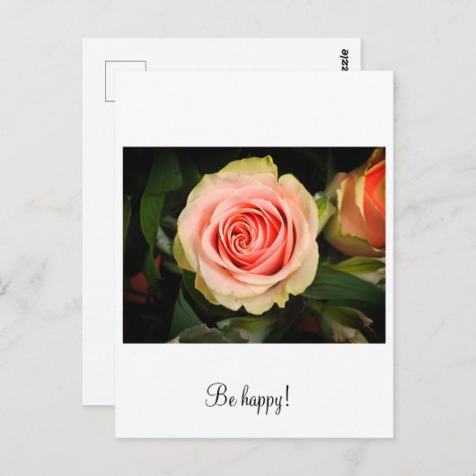 Carte Postale Rose rose (Devant / Derrière)