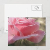 Carte Postale Rose rose 3 angélique (Devant / Derrière)