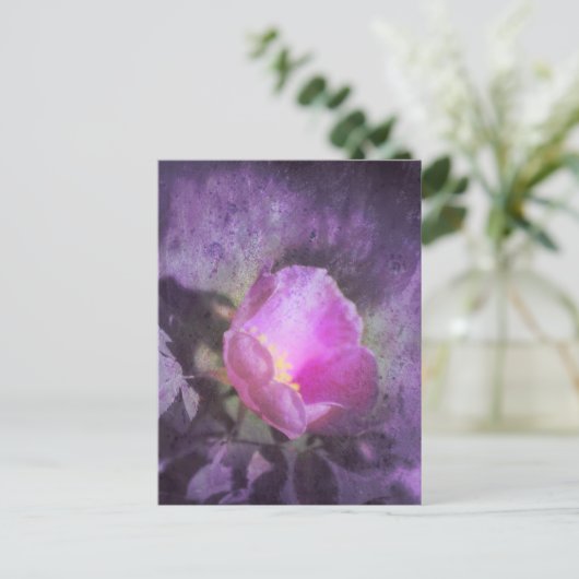 Carte Postale Rose rose ancienne, texture violette (Debout devant)