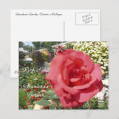 Carte Postale Rose rose dans le jardin de grand-mère (Devant / Derrière)