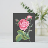 Carte Postale Rose rose florale moderne (Debout devant)