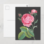 Carte Postale Rose rose florale moderne (Devant / Derrière)
