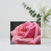 Carte Postale Rose rose I Jolie photo florale (Debout devant)