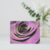 Carte Postale Rose rose Lilac (Debout devant)