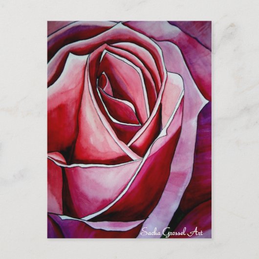 Carte Postale Rose rose macro fleur (Devant)